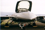 USAF F-16
