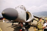 British Harrier
