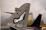 Royal Navy Harrier
